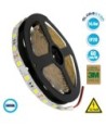 GLOBOSTAR® LUMAR 70020 Ταινία LED 14.4W-m 1440lm-m 120° DC 12V IP20 60 x SMD5050 Chip-m Ψυχρό Λευκό 6000K Dimmable - Sanan SMD Chip - Μ500 x Π1 x Υ0.2cm - Ρολό 5 Μέτρων - 5 Χρόνια Εγγύηση